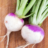 Organic Purple Top White Globe Turnip (Brassica rapa)