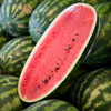 Congo Watermelon (Citrullus lanatus)