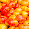 Organic Virginia Sweets Tomato (Solanum lycopersicum)