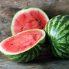 Organic Chris Cross Watermelon (Citrullus lanatus)