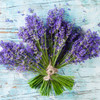 Organic Lavender Vera (Lavandula angustifolia)