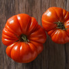 German Johnson Tomato (Solanum lycopersicum)