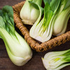 Pak Choi/Bok Choy (Brassica rapa chinensis)