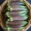 Hill Country Red Okra (Abelmoschus esculentus)