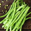 Calima Snap Bean (Phaseolus vulgaris)