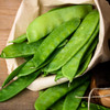 Green Beauty  Snow Pea (Pisum sativum)