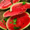 Ali Baba Watermelon (Citrullus lanatus)