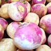 American Purple Top Rutabaga (Brassica napus)