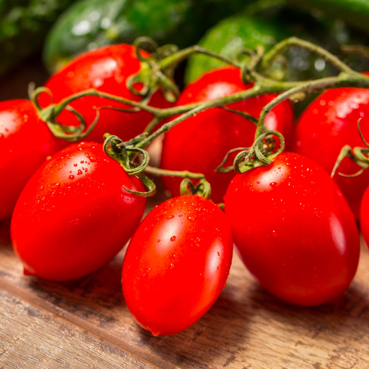 Roma Tomato (Solanum lycopersicum)