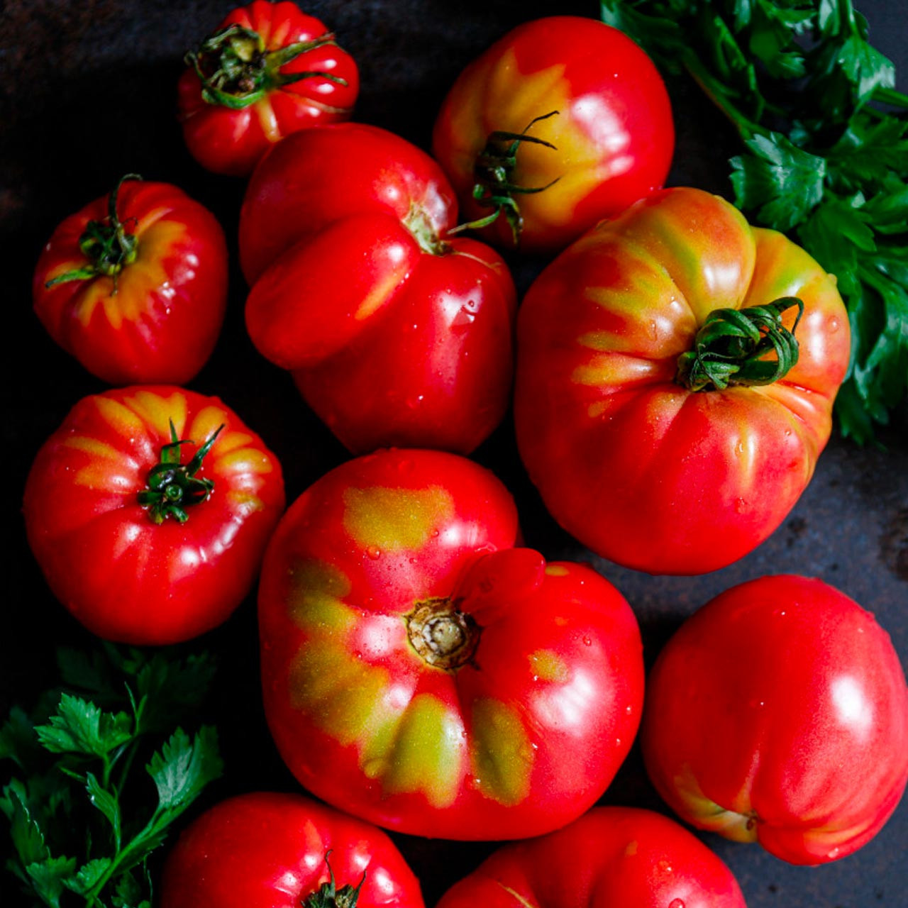 Organic Sudduth's Pink Brandywine Tomato (Solanum lycopersicum) 