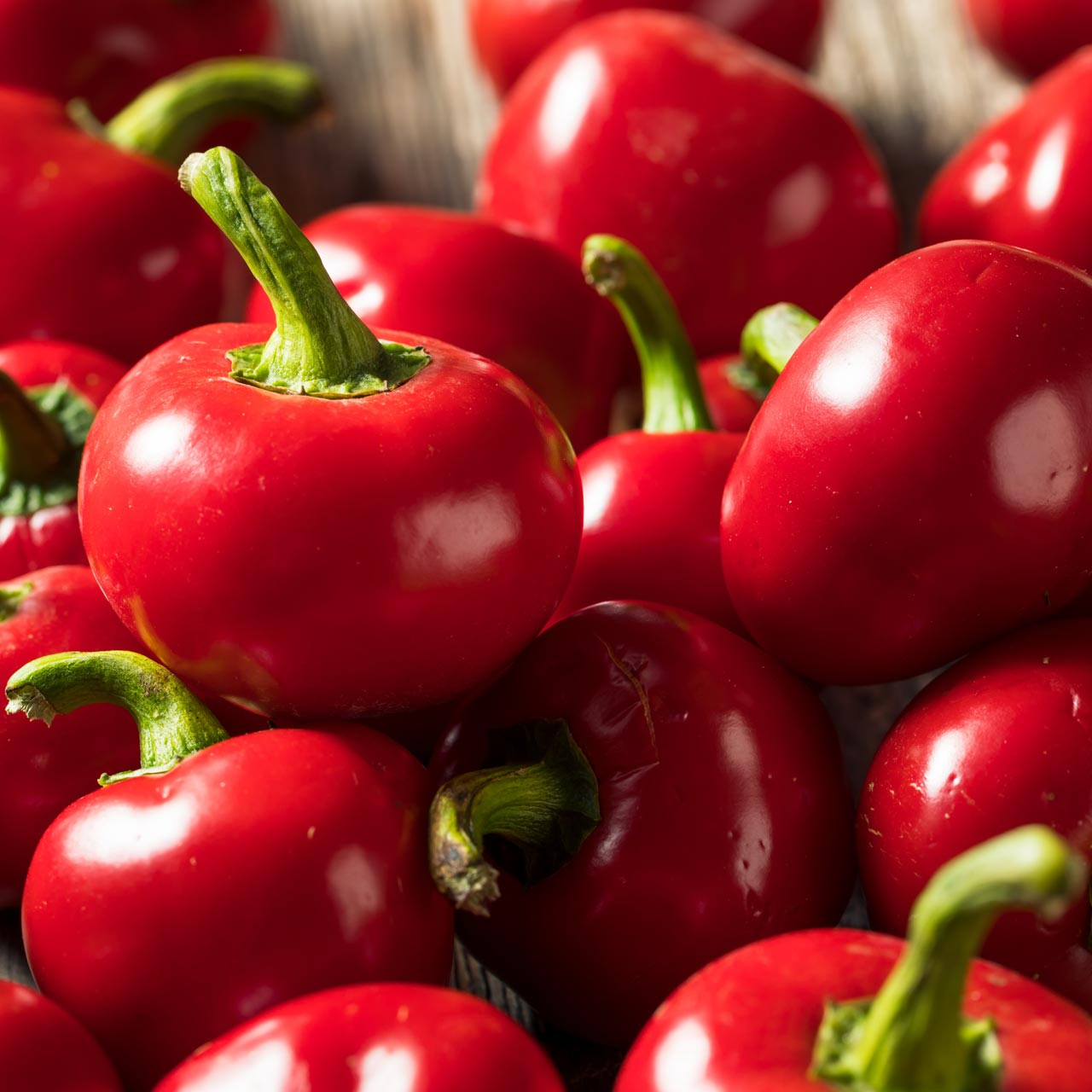 Red Hot Cherry Pepper (Capsicum annuum)
