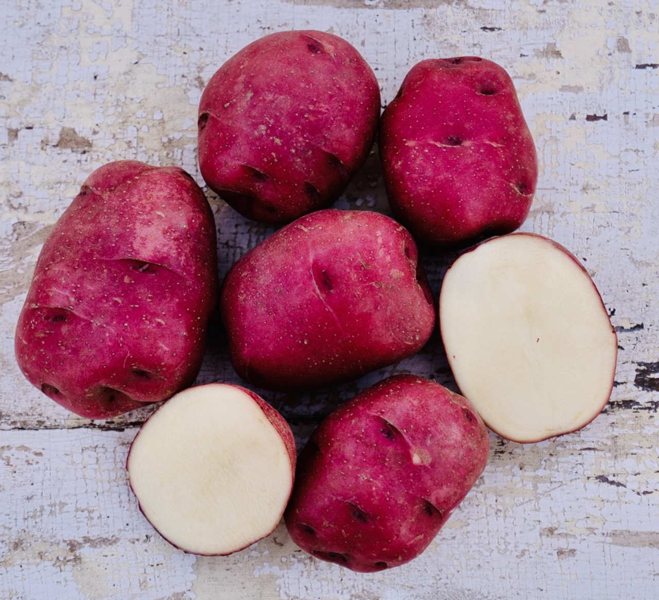 Organic Red Norland Seed Potato (Solanum tuberosum) Apri-May Delivery