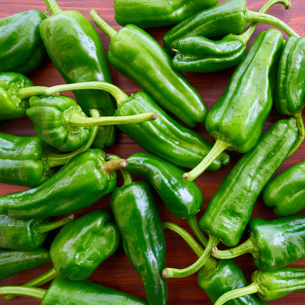 Organic Padrón Chile Pepper (Capsicum annuum)