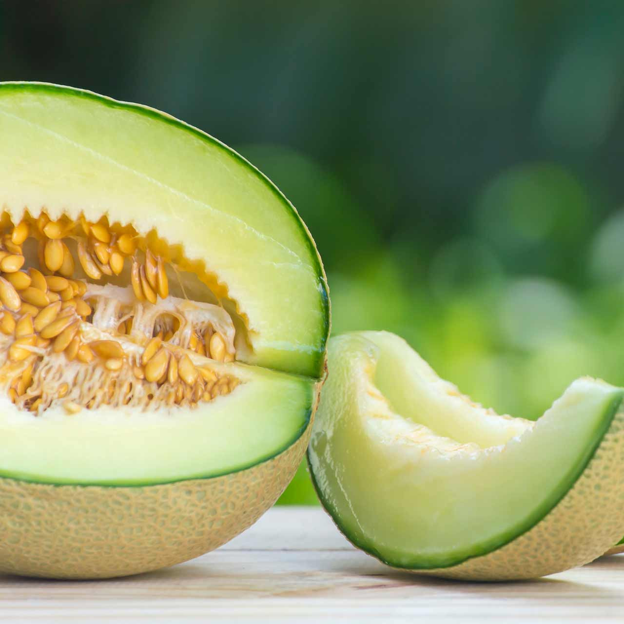 Rocky Ford Green Fleshed Cantaloupe (Cucumis melo) 