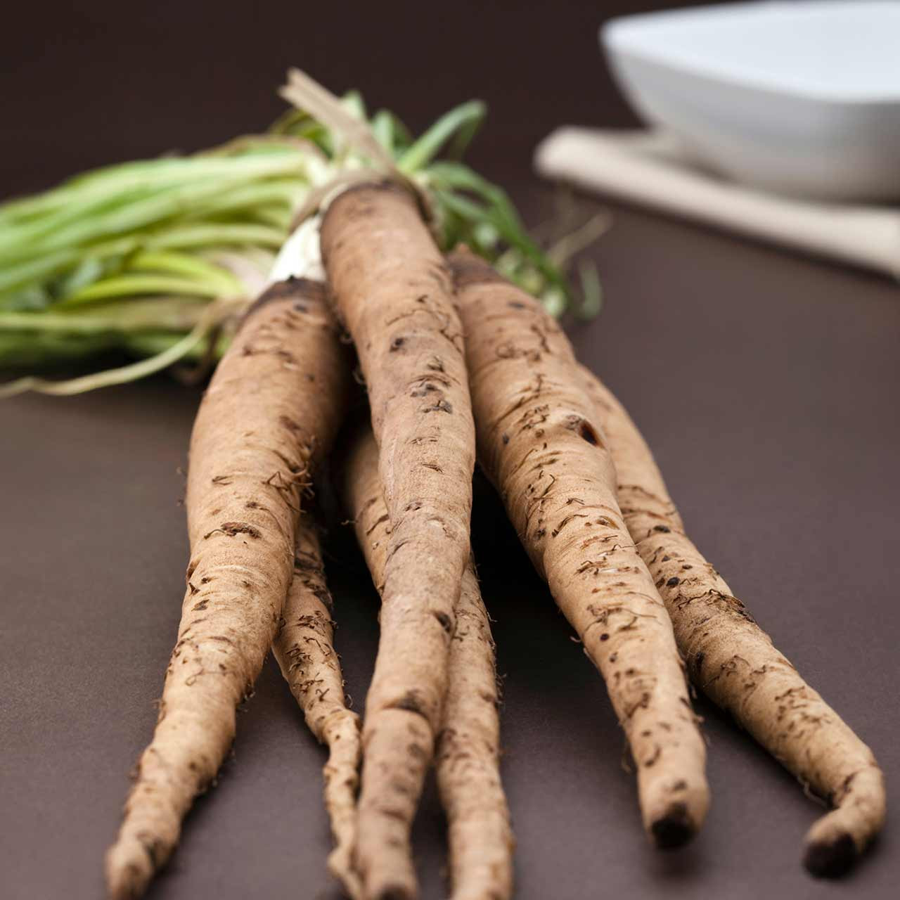 Mammoth Sandwich Island Salsify (Tragopogon porrifolius) Biennial