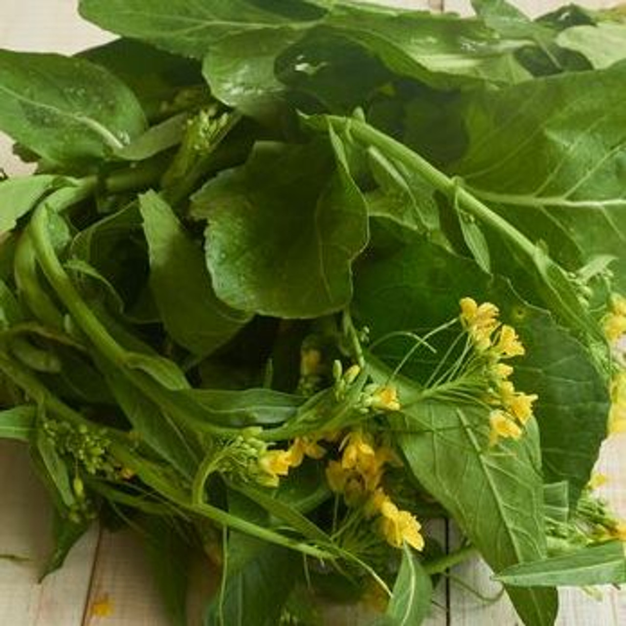 Organic Tendergreen Mustard Greens (Brassica juncea)