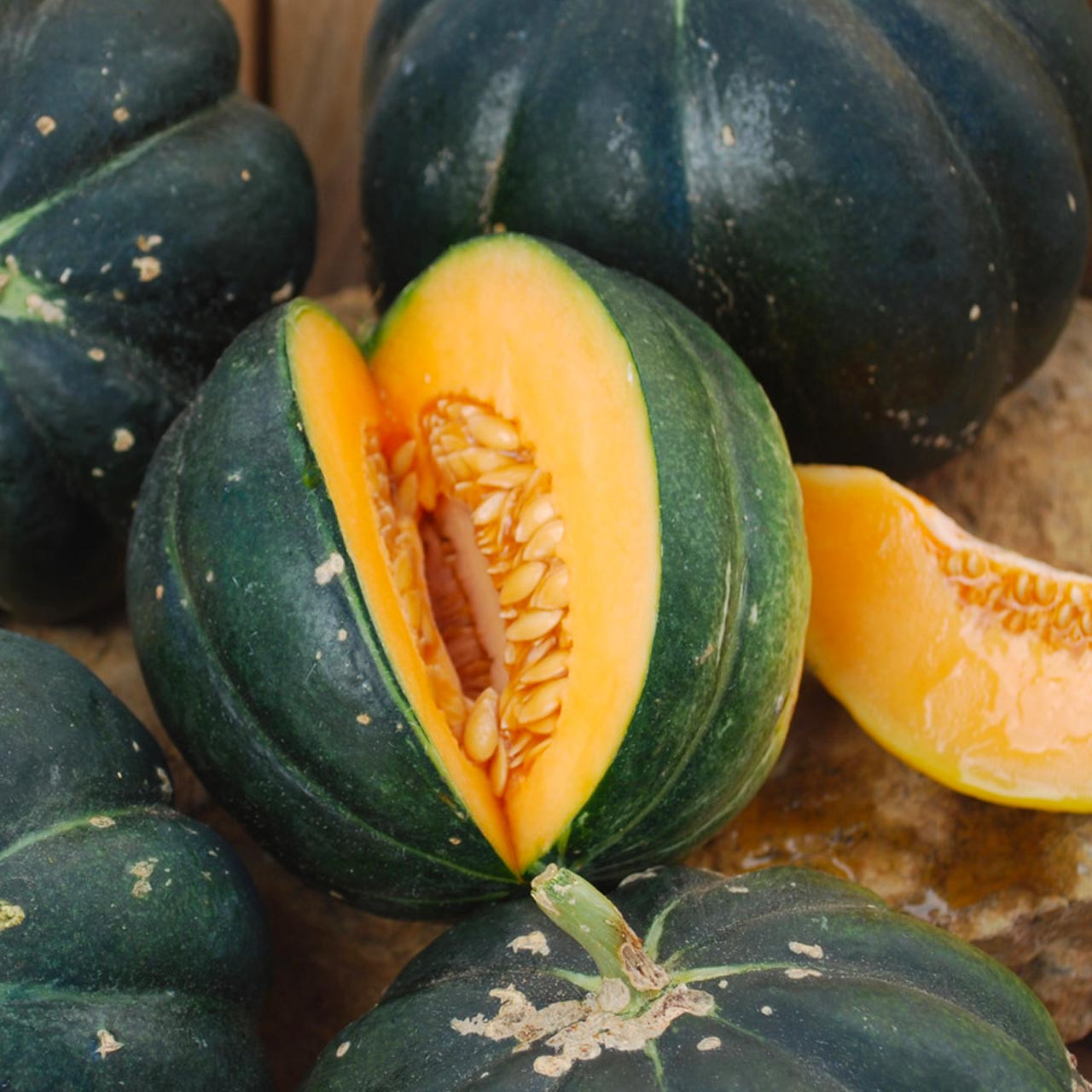 Organic Noir de Carmes Melon (Cucumis melo) Annie's Heirloom Seeds