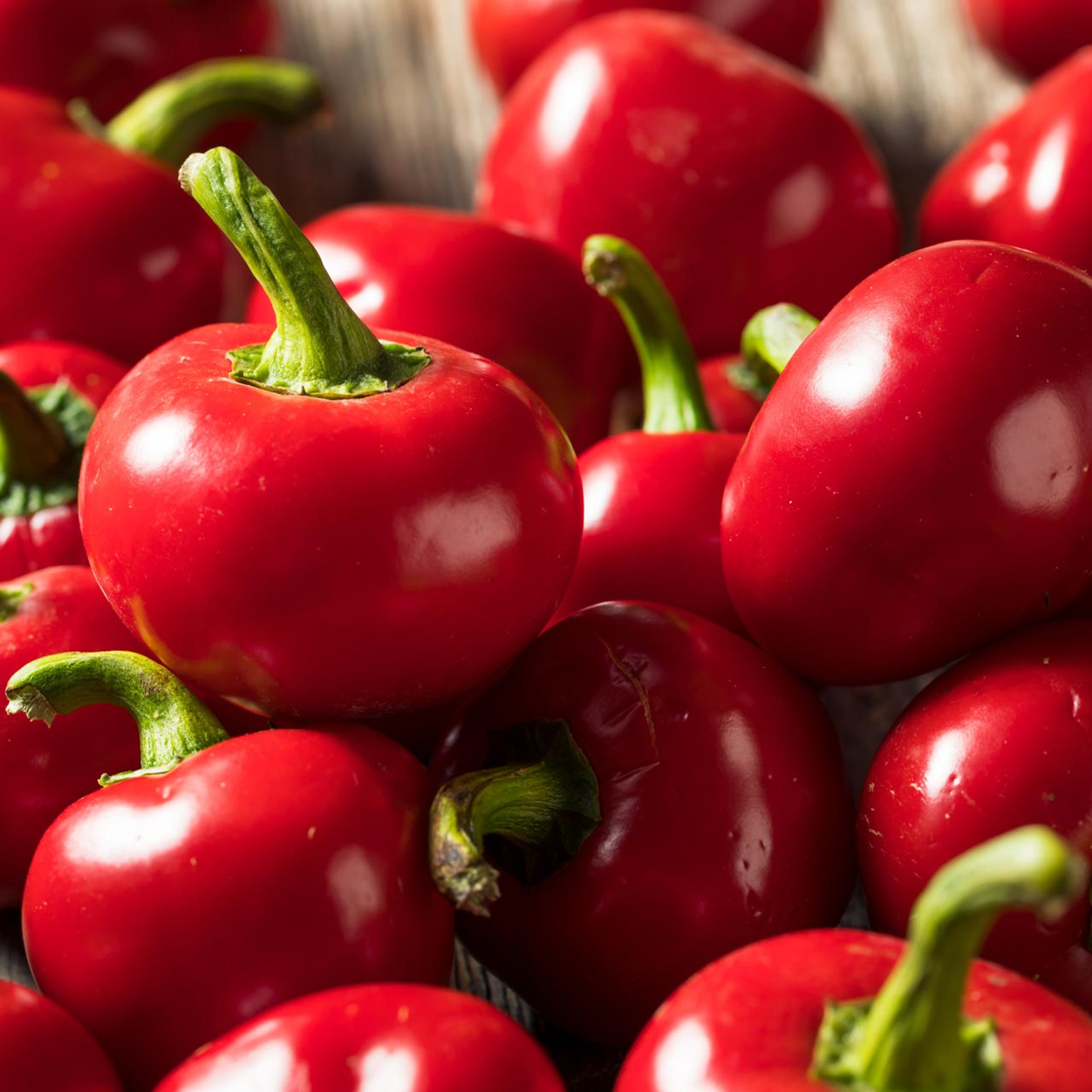 Red Hot Cherry Pepper Capsicum Annuum Annie s Heirloom Seeds Red Hot Cherry Pepper Capsicum Annuum Annie s Heirloom Seeds