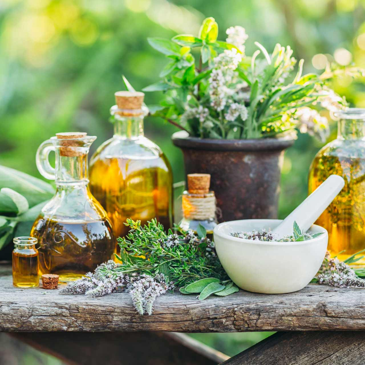 Medicinal Herb Garden Kit Annie's Heirloom Seeds