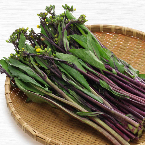 Organic Hon Tsai Tai (Brassica oleracea) 
