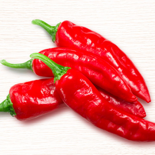 Organic Aleppo/Halaby Pepper (Capsicum annuum)