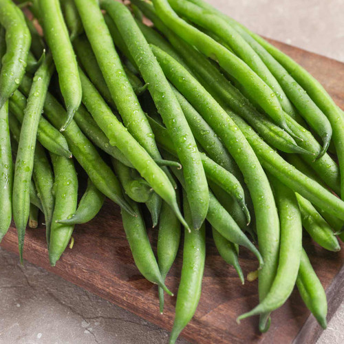 Tenderette Bush Bean (Phaseolus vulgaris)