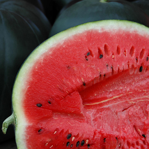 Sugar Baby Watermelon (Citrullus lanatus)