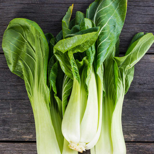 Organic Prize Choy Pac Choy (Brassica rapa chinensis)