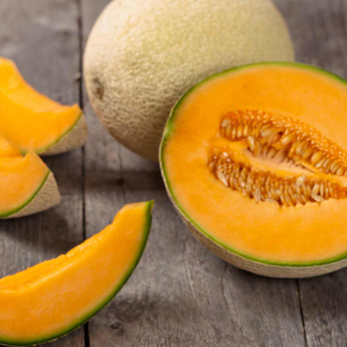 Top Mark Melon (Cucumis melo)