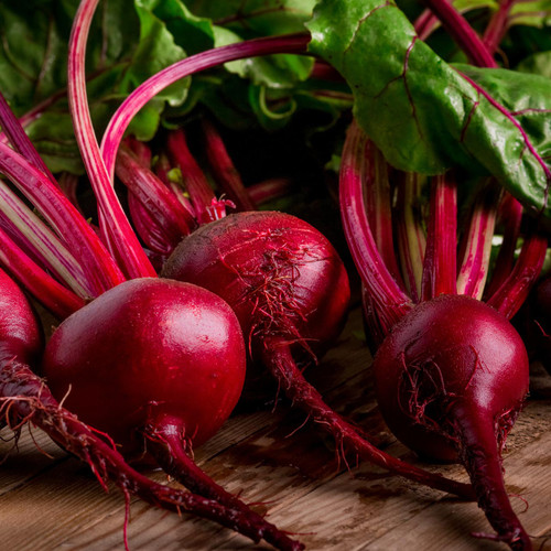 Detroit Dark Red Beet - Bulk (Beta vulgaris)