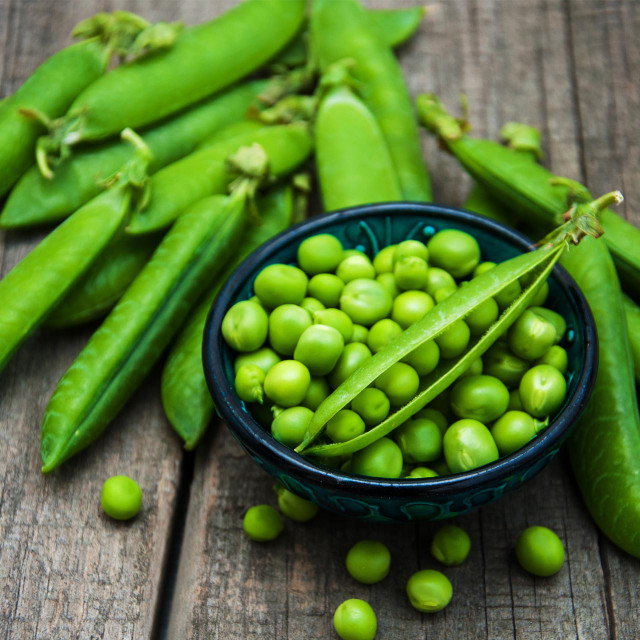 Organic Green Arrow Pea (Pisum sativum) Annie's Heirloom Seeds