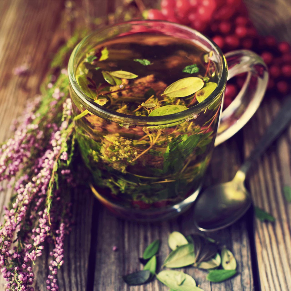 Herbal Tea Garden Kit Annie's Heirloom Seeds