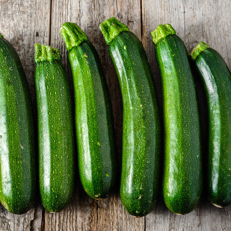 Dark Green Zucchini (Cucurbita pepo) Annie's Heirloom Seeds
