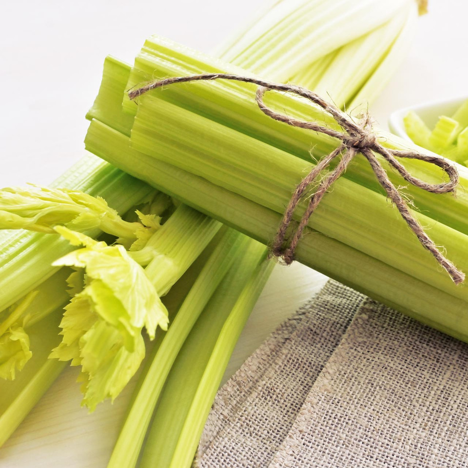 Giant Golden Pascal Celery (Apium graveolens) Annie's Heirloom Seeds
