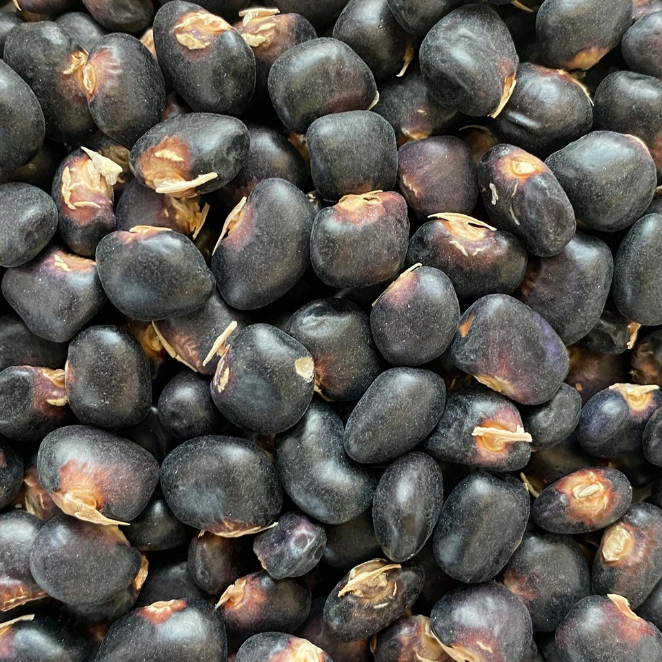 Succotash Bean (Phaseolus vulgaris) Annie #39 s Heirloom Seeds