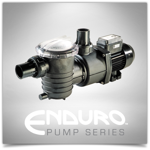 Poolrite Enduro Pool Pump Pool Super Store