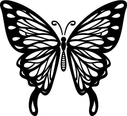 Butterfly Wall Decal