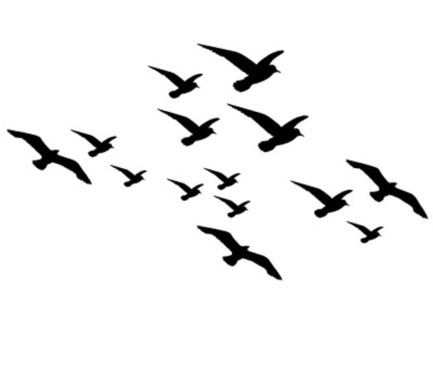 Birds in Flight Wall Decal Pack | DecalMyWall.com
