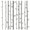 Branch Wall Decals