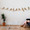 Bird Wall Decals, birds on a wire
