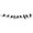 Bird Wall Decals, birds on a wire