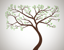 Family Tree Leaves Decalmywall Com