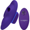 Lock-N-Play Remote Suction Rechargeable Silicone Panty Teaser With Remote By CalExotics - Purple