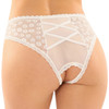 Bottoms Up Daisy Crotchless Lace & Mesh Panty by Fantasy Lingerie - S/M