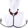 Saffron Collar With Nipple Clamps By Sportsheets