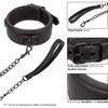 Nocturnal Collection Collar & Leash By CalExotics