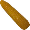 Corn On The Cob Large Silicone Dildo By SelfDelve