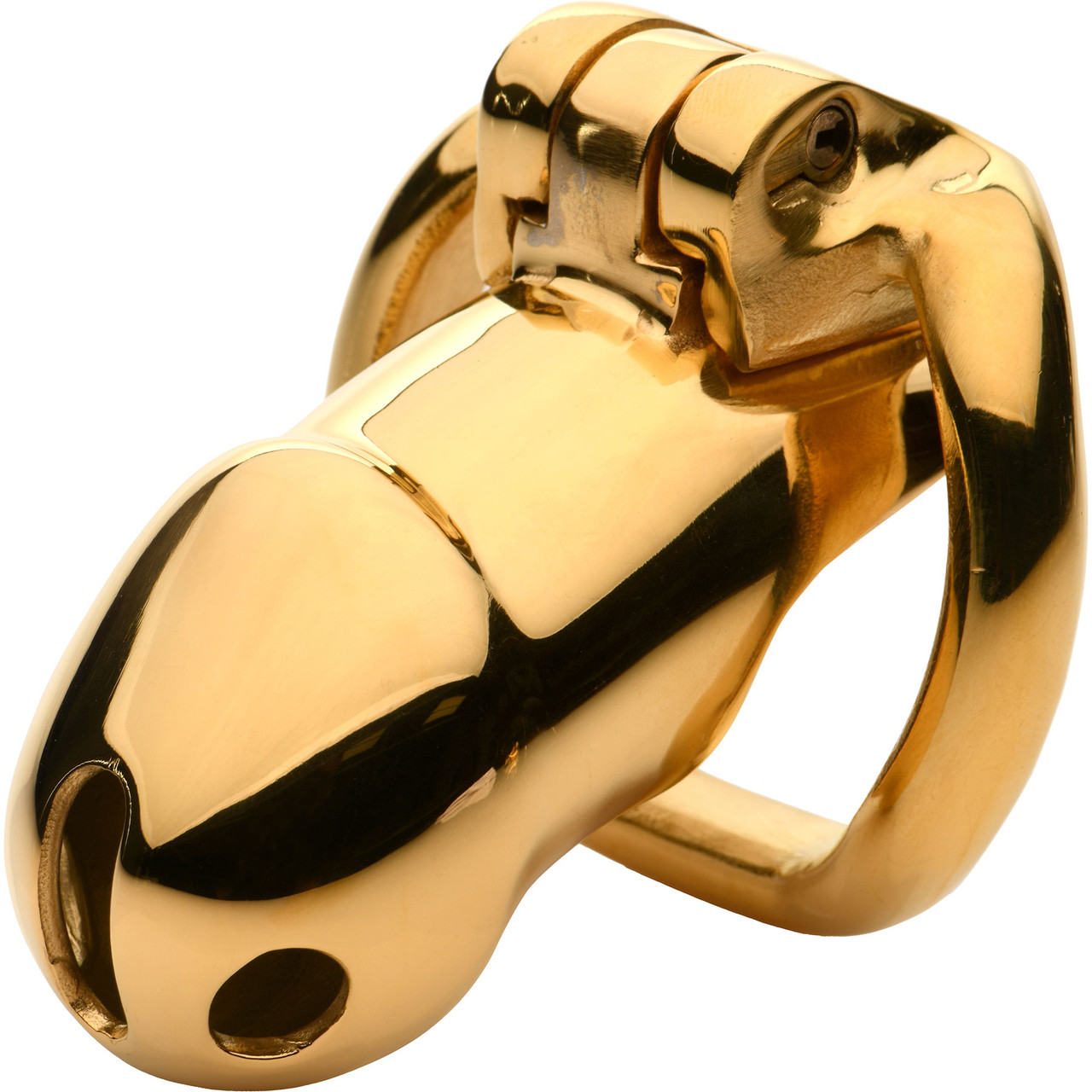 MASTER SERIES Midas 18K Gold-Plated Locking Chastity Cage for Men, and  Couples. Gold Plated Cage with Two Graduated Rings & 2 Keys, Perfect for