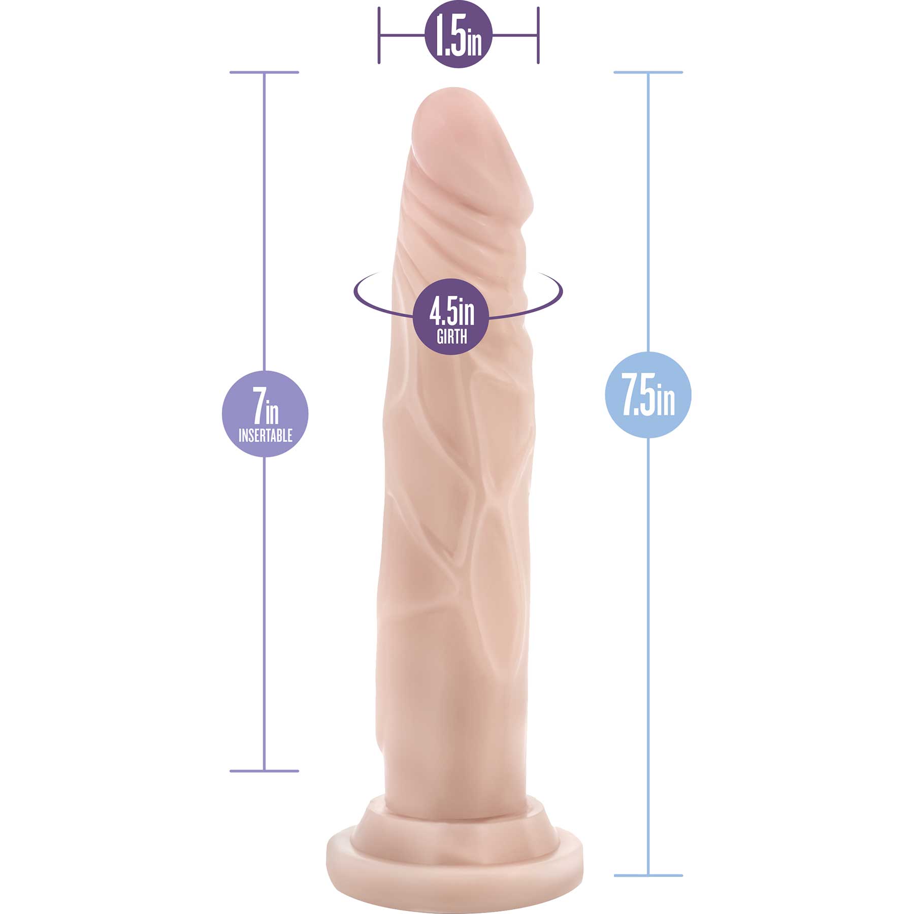 Dr. Skin Dr. Carter 7" Realistic Posable Silicone Dildo With Suction Cup By Blush - Measurements