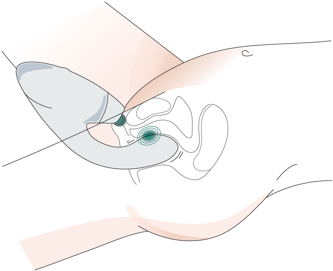 Womanizer DUO 2 - Illustration Of Toy In Use